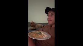Dog Pretends To Not Watch Dinnertime
