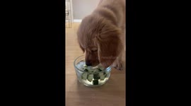 She's a Classy Lady Who Only Drinks Cucumber Water