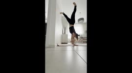 Dog Imitates Owner’s Wall Workout
