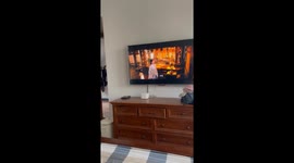 Cat Quietly Watches TV