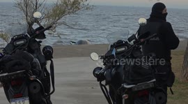 Argentina: Dead whale washes ashore in Argentina's Buenos Aires, specialists dispatched to investigate