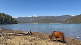 The Enchanting Beauty of Potatso National Park
