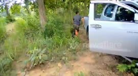 Dramatic moment policemen chase two drugs dealers through farm