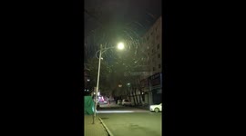Optical illusion turns tree branches into glowing spiderwebs