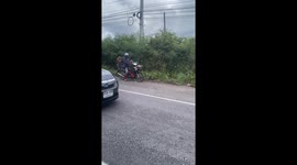 Pet monkeys hitch a ride on motorcycle with owner