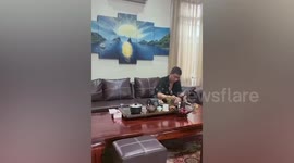 Chinese tourist arrested in luxury villa raid after bragging about his gun