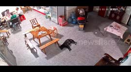 Truck Tire Crashes into House