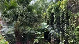 Türkiye: Bright butterflies bring life and visitors to Turkish tropical garden