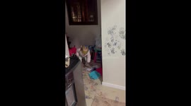 Paint party gone wrong - parents find young daughters completely covered