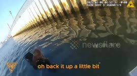 Troopers Rescue Dog From Tidal Waters Near Elizabeth Marina