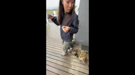 Dog Puts on Adorable Show to Beg for Icelandic Hot Spring Bread