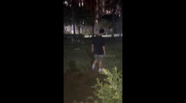 Dogs Chase boy