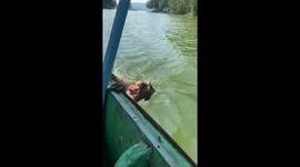 Monkey Boards Boat to Steal Tourists' Food
