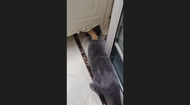 Siblings Being Siblings