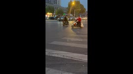 Man Tugs Goose Cross Road
