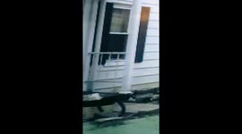 Extorestrials or not they have been visiting me for years now I recorded this frome my living room a few months sitting in my chair I just happened to look at the monitor and this is what I recorded