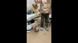 The Tabby Is Hit by a Yo-yo