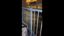 Rising water as rain warning lifted in special ward in Tokyo