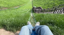 Visitors whizz down hillside on sleighs fixed to rails in China