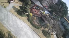 Man Fell into Pond While Saving Drowning Hen