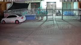 Hilarious moment pet dogs knocked off pet owner walking outside