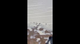 Lake appears to be filled with milk as surface turns creamy colour