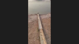 Dog Slips into Fishing Boat Chute