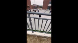 Handrail Funny Moment