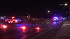 US, Phoenix: Phoenix Woman and Dog Killed in Hit-and-Run Crash