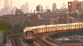 US: Subway surfing persists in New York City despite many fatalities