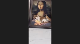 When Monalisa was Holding a Cat
