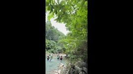 Canyoneer mistakes coconut petiole for snake in Cebu, Philippines