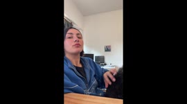 Dog adorably asks for more scratches in Buenos Aires, Argentina