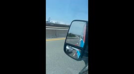 Turtle rescued while trying to cross Brigantine Bridge, New Jersey, USA