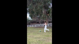 Woman tripped by playful slide tackle during backyard soccer in Los Angeles, USA