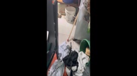 Dog sits calmly with container on head in Fusagasugá, Colombia