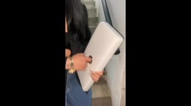 Toilet lid stuck on woman’s finger in Paraná, Argentina