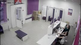Two pigs surprise staff in Moscow, Russia
