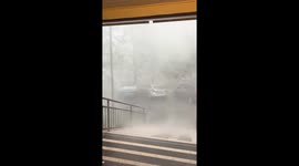 Strong winds and heavy rain bring down tree in Debrecen, Hungary