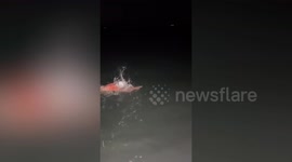 Four veterans have become the only team of amputees to swim the Channel twice