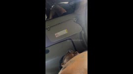 Man Is Pulled Over for Pulling Over