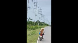 Pet dog joins owner on motorcycle ride