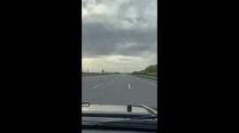 Swarm of bugs hovers over road markings in rare phenomenon in China