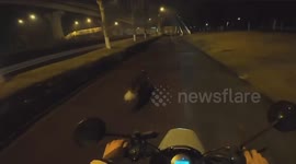 A Man Chases His Dog on Motorcycle