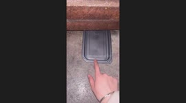 The Cat Grabs the Bowl