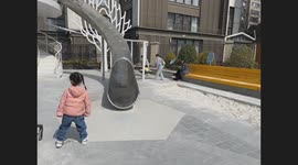The Border Collie Plays on Slide