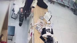 The Cat Dashes Between Chairs