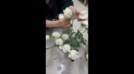 How Flowers Bloom