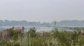 I Pulled into a nature reserve in northern Minnesota and the wildfire smoke was just hanging thick in the air, making everything look dull and muted.