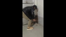 The Puppy Stands in Corner